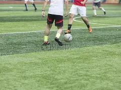 秋赛首轮巅,峰对决,昨日,米兰登录入口,米兰平台,米兰注册网址,米兰app,米兰官网,米兰网站,米兰网页版