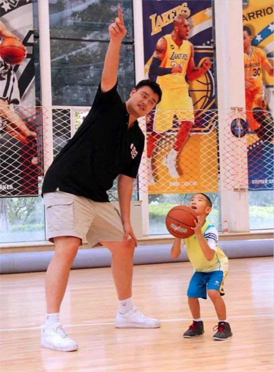 锐龙